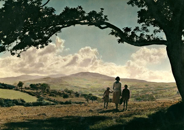 The Welsh Vista