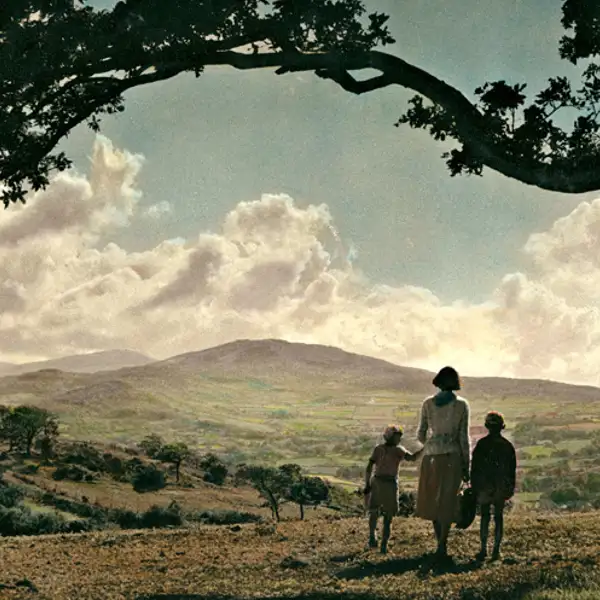 The Welsh Vista