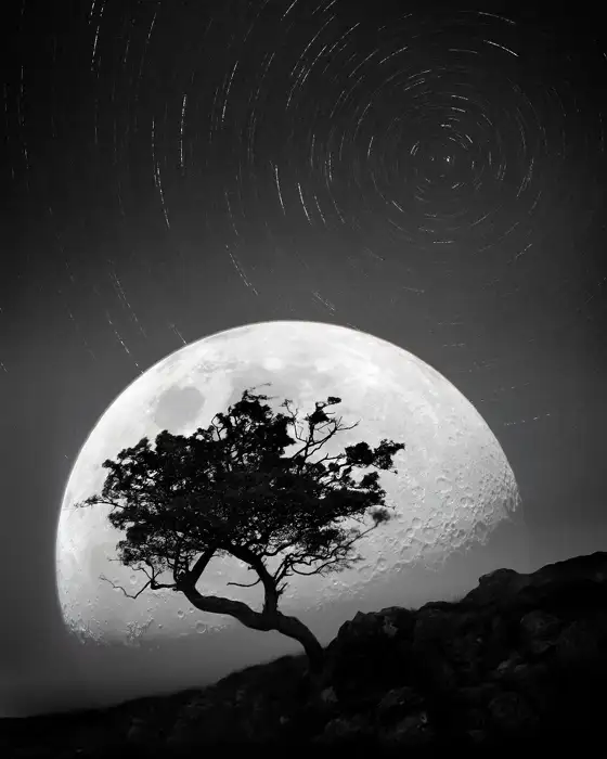 Dancing with the moonlight night