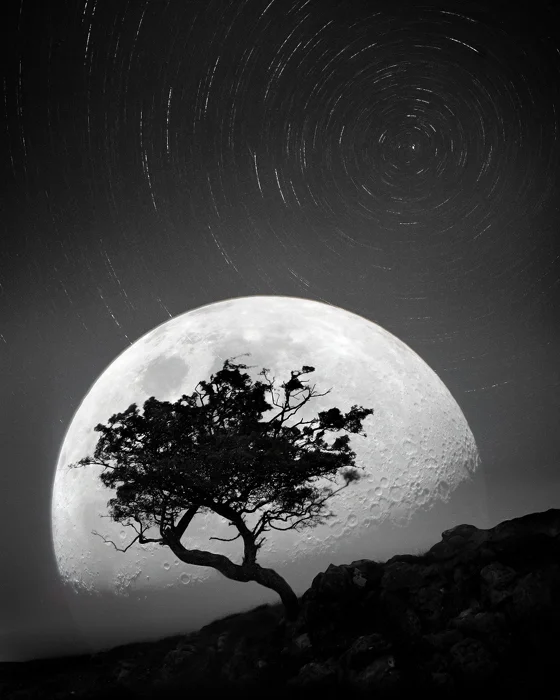 Dancing with the moonlight night