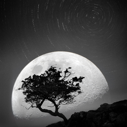 Dancing with the moonlight night: Dancing with the moonlight night