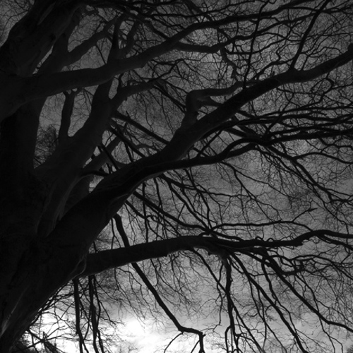 Winter morning: Winter morning
