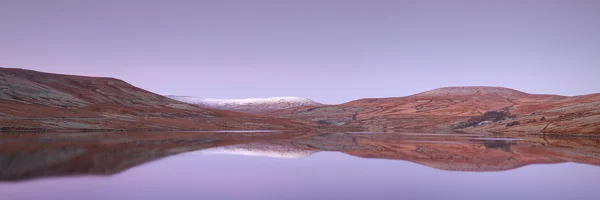 Reflections at dawn