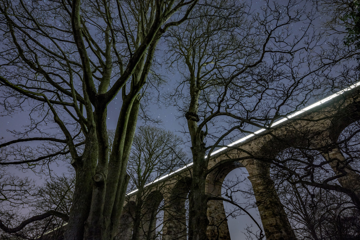 A night-time scene in Crimple Valley; bare trees in the foreground frame the Crimple Valley Viaduct, where a train's lights create a bright white line across the dark structure. Stars speckle the clear sky above. a large tree in a forest