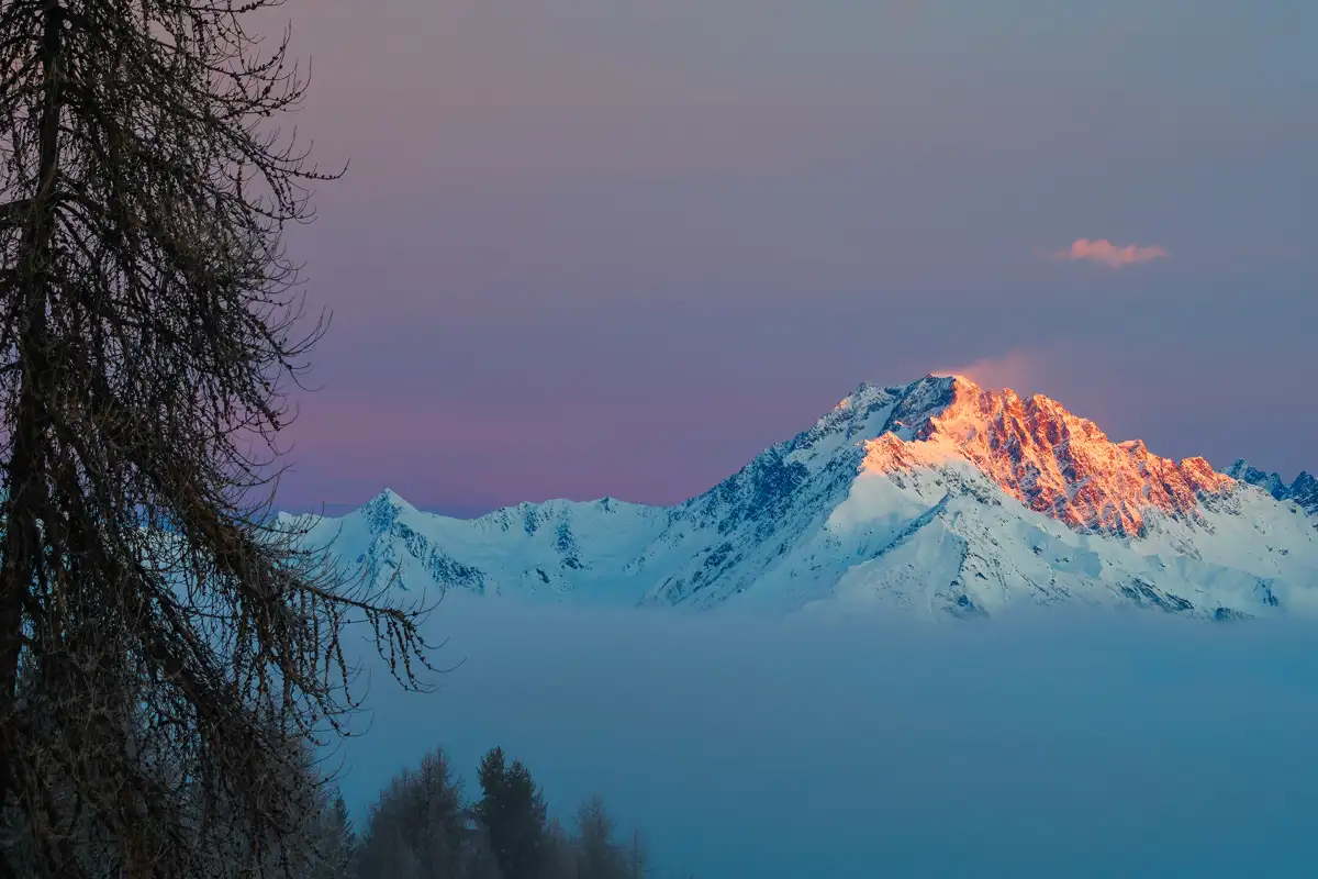 Snow-capped mountains bathed in pink and orange hues from the setting sun are partially shrouded in mist. Dense clouds or fog cover the lower slopes, with a tree silhouette on the left against a pastel sky of pink and blue.