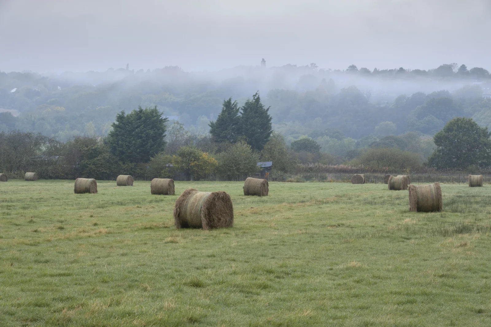 Round hay bales scattered across a misty green field with wooded hills beyond at dawn in autumn.