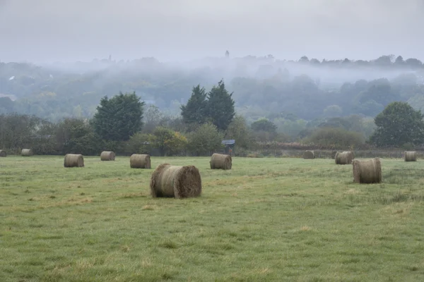 Round hay bales scattered across a misty green field with wooded hills beyond at dawn in autumn.
