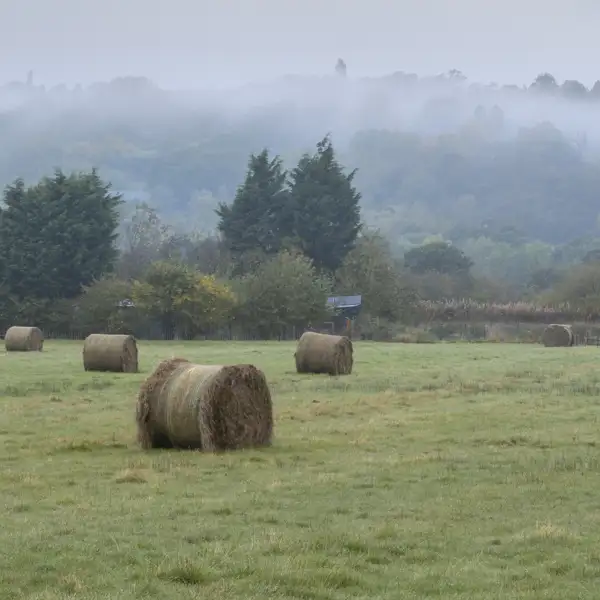 Crimple Valley Autumn Walk