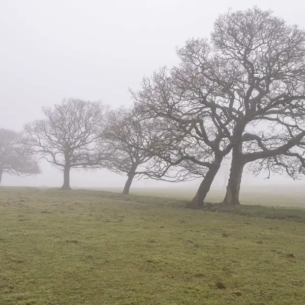 April mists