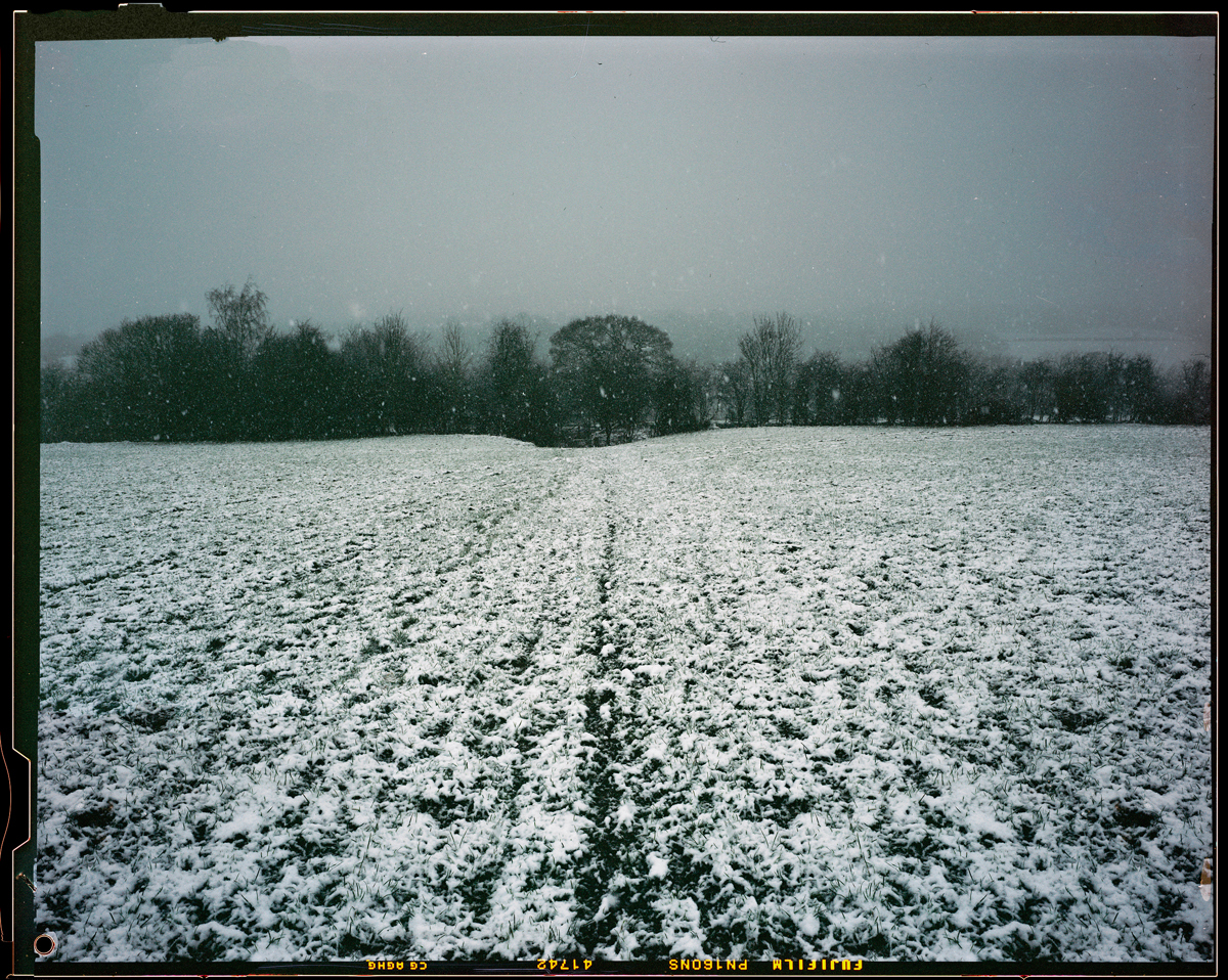  a field of snow