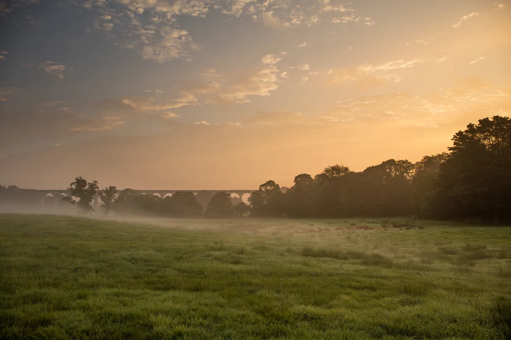 Stone railway viaduct beyond a misty meadow at sunrise, with arches silhouetted against a glowing sky