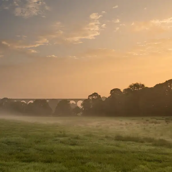 Crimple Valley Misty Summer Morning
