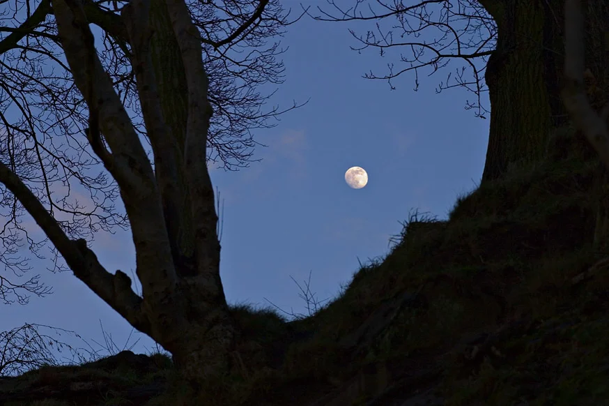 The moon, Harlow Carr