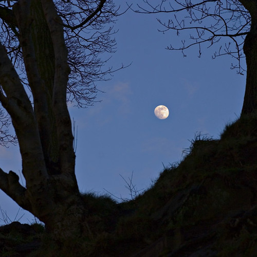 The moon, Harlow Carr: The moon, Harlow Carr
