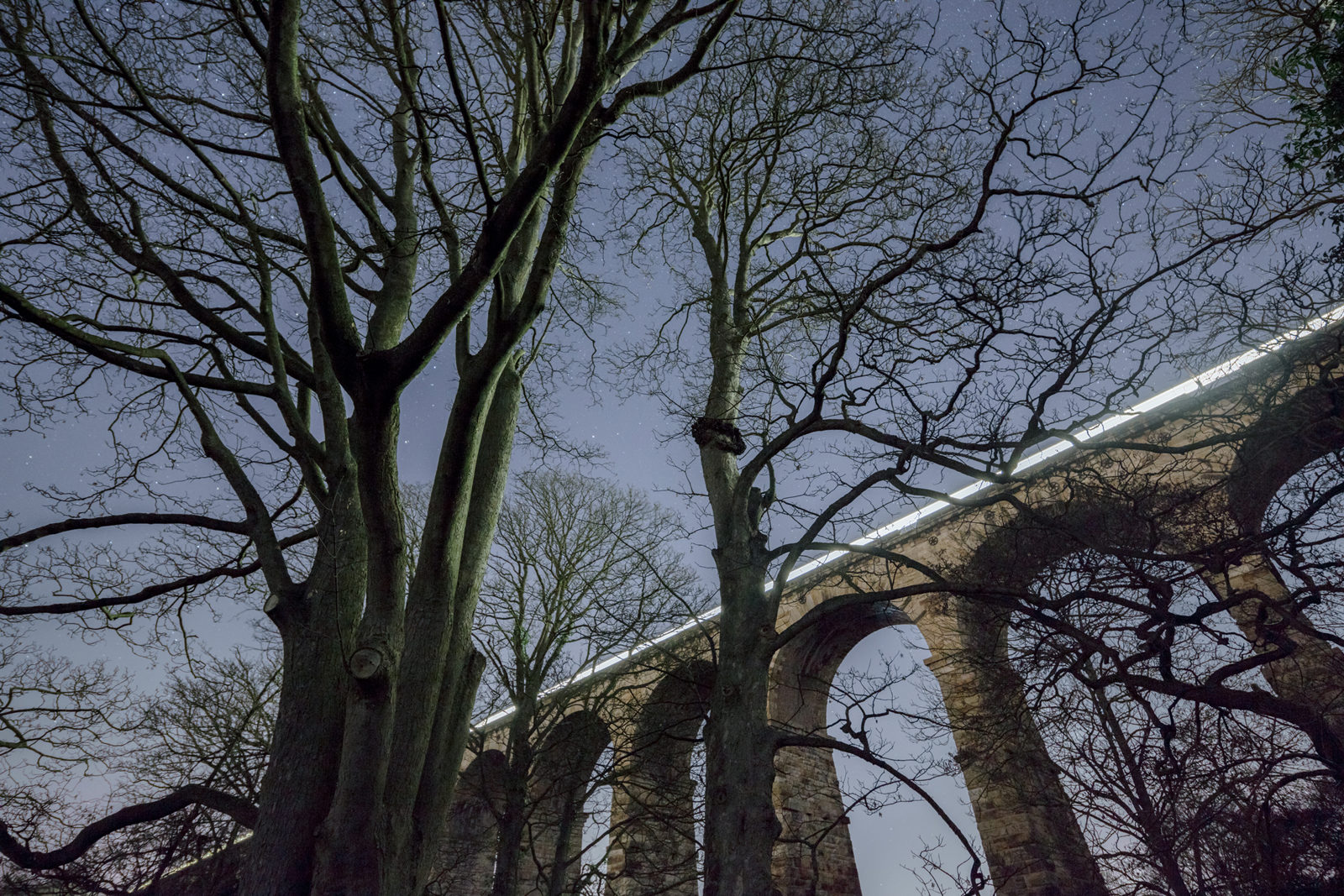 A train passes over the Crimple Viaduct at night framed by trees
