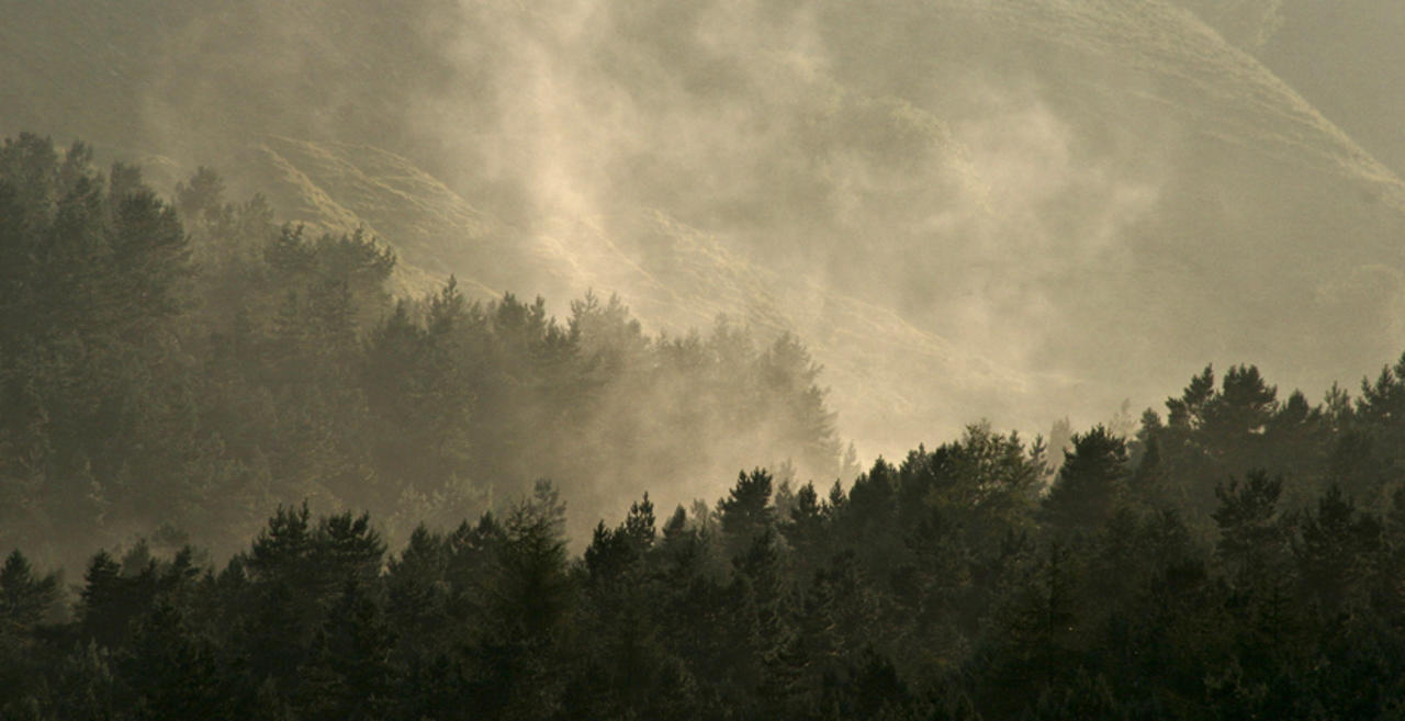 Ogden, after the storm
