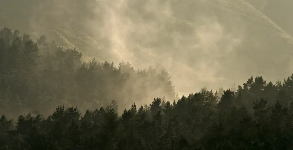 Ogden, after the storm