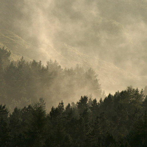 Ogden, after the storm: Ogden, after the storm