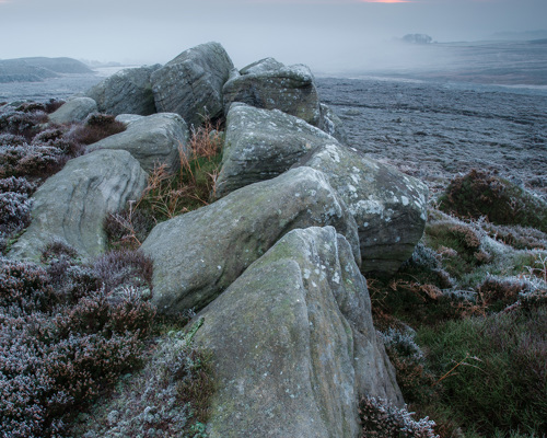 Moorland Landscapes: Weathered, mossy rocks dominate the foreground, nestled amongst frost-kissed heather on moorland. A mist gently blankets the landscape, with a sliver of warm sunrise peeking through the cool, diffused light of early morning. a close up of a rock