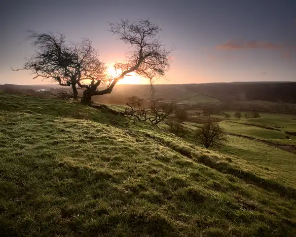 First dawn, 2007