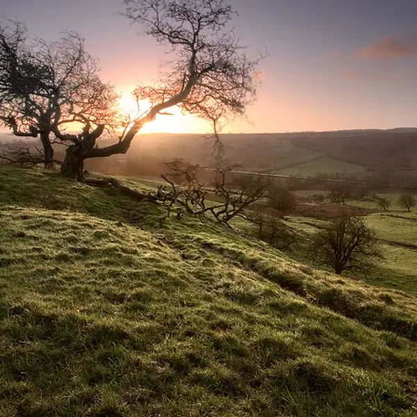 First dawn, 2007
