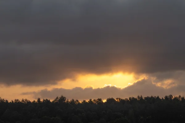 Golden sunset breaking through dark storm clouds over a silhouetted woodland treeline.