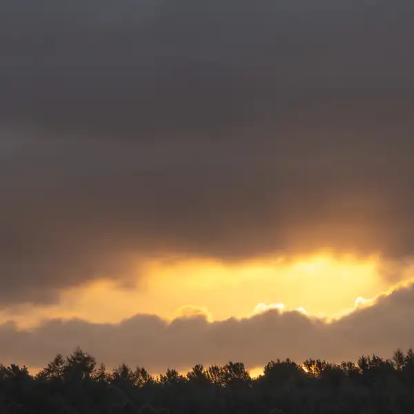 Early Morning Skies