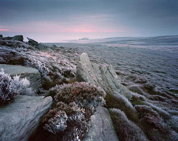 Ice Sunrise
