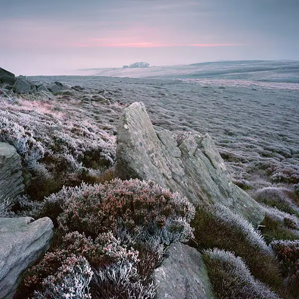 Ice Sunrise