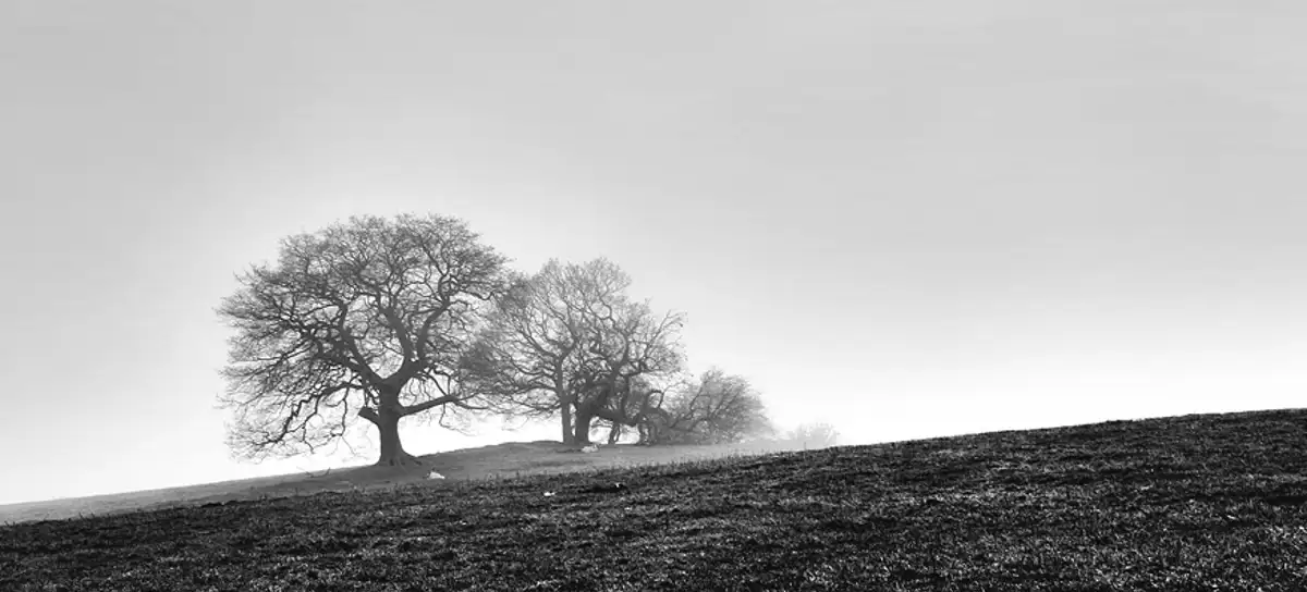 misty morning, fewston