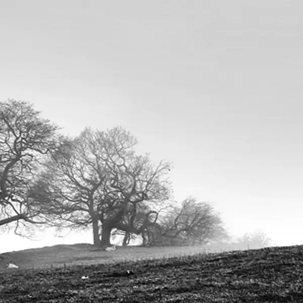 misty morning, fewston