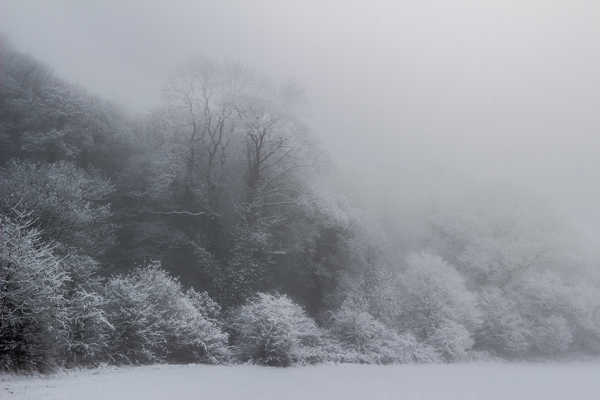 a snow covered field