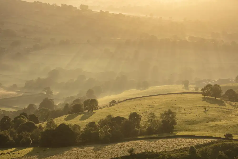Rolling pastoral landscape bathed in golden sunlight during sunrise or sunset, with rays illuminating the fields. Trees are scattered across the gentle hills, casting elongated shadows. A soft mist lingers in the background, enhancing the serene, ethereal atmosphere.