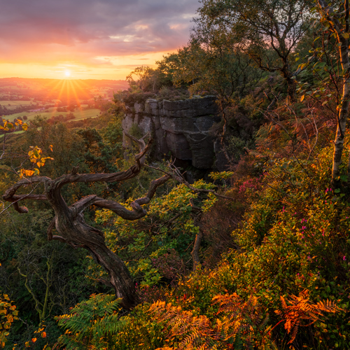 Approaching autumn: 