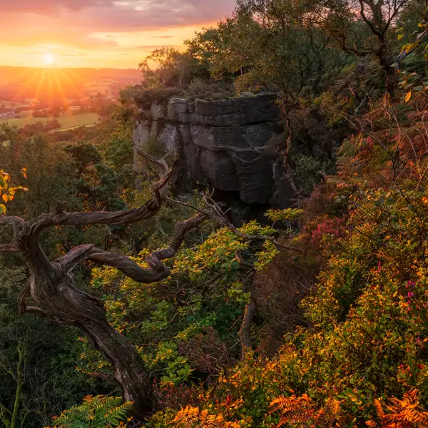 Approaching autumn