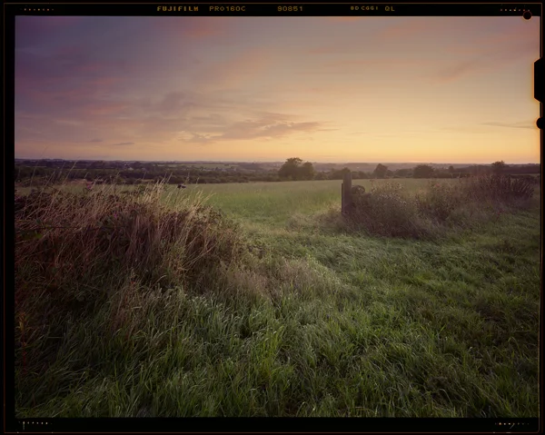 Through the fields