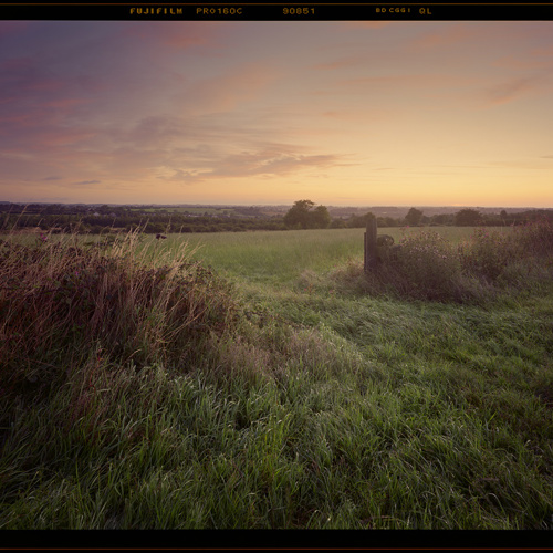 Through the fields: Through the fields