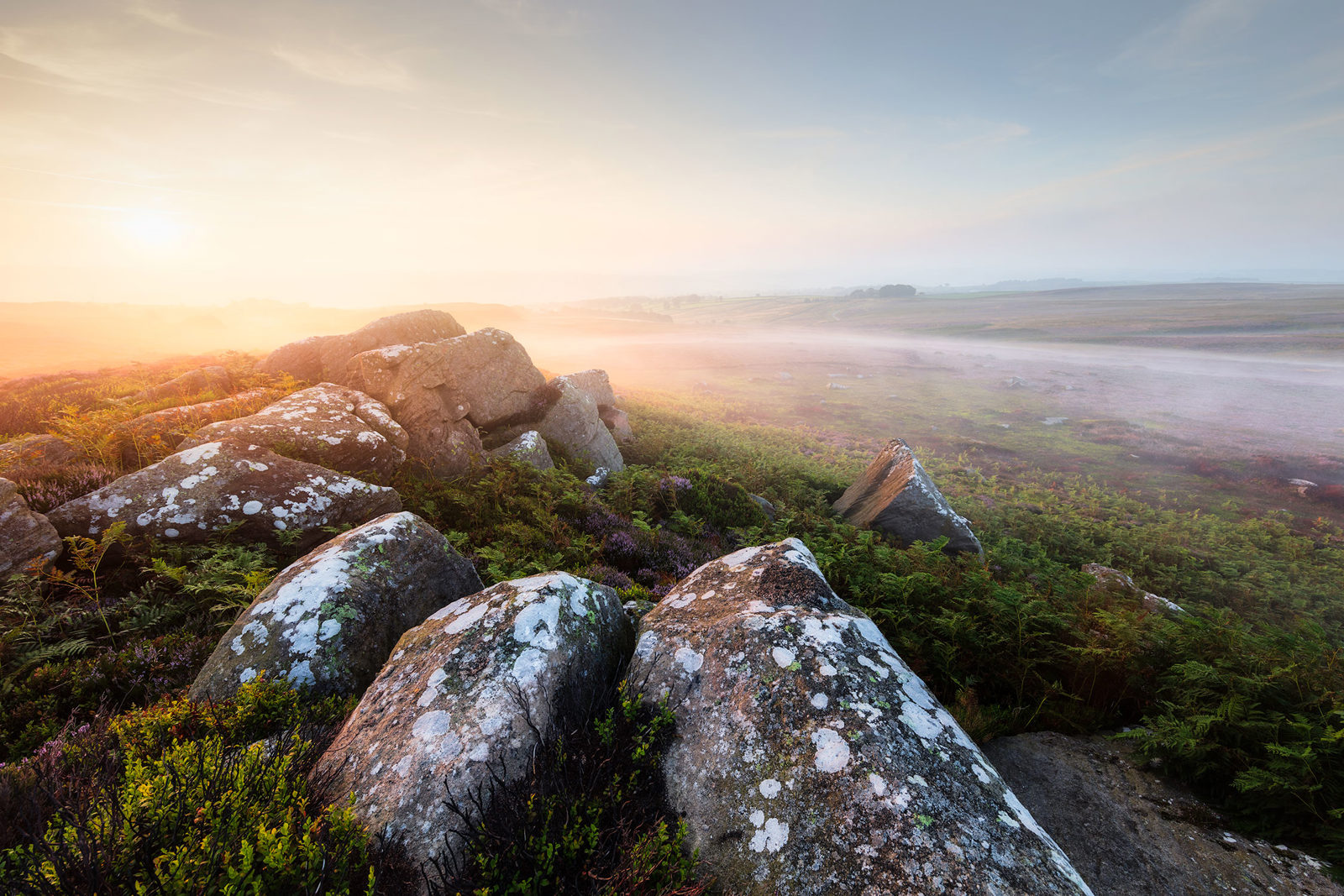 Rocky landscape with large, lichen-covered boulders in the foreground. The terrain is lush with green foliage and some purple heather. A layer of mist covers the distant fields under a soft, pastel sky as the sun sets or rises on the horizon, casting a warm glow over the scene.