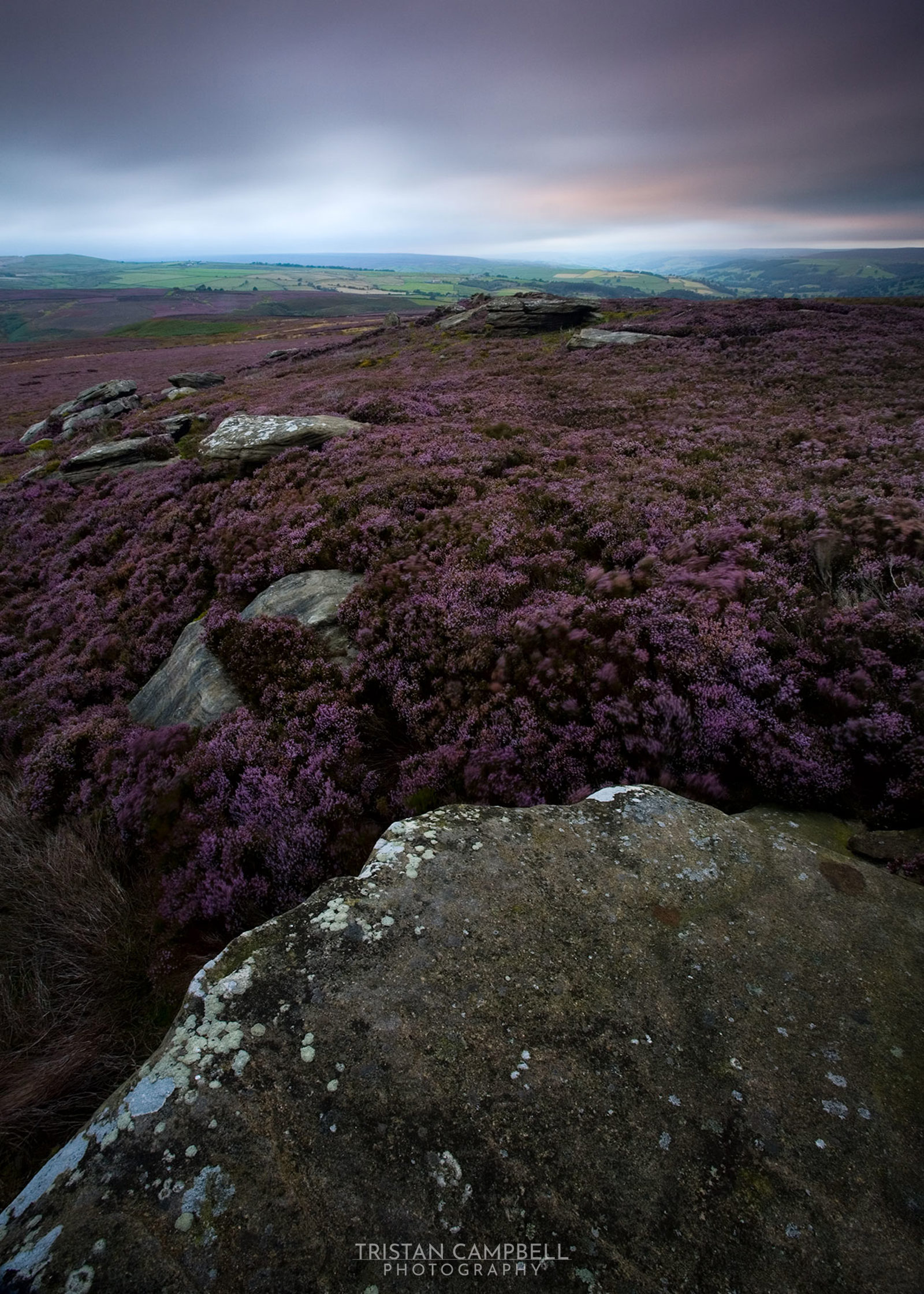 Heather-covered moorland with hues of purple across the landscape. Large rocks are scattered in the foreground and middle ground. The sky is overcast with a hint of orange light near the horizon, and distant green fields are visible in the background.