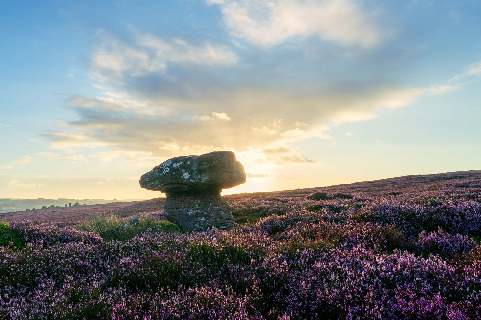 Mushroom-shaped gritstone rock on moorland surrounded by purple heather at sunrise