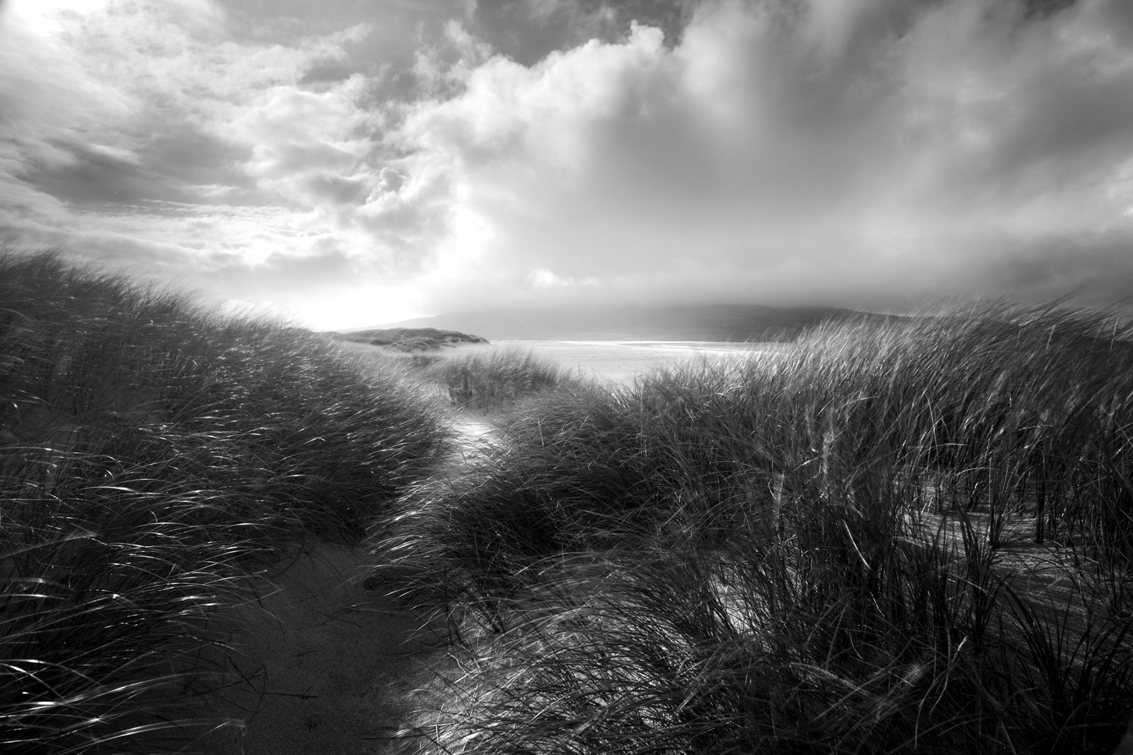 Tall grasses sway in the wind on sand dunes under a dramatic sky with clouds obscuring the sun. Sunlight breaks through, illuminating the path winding through the dunes towards a distant shoreline. The scene, captured in monochrome, conveys a serene yet moody atmosphere.