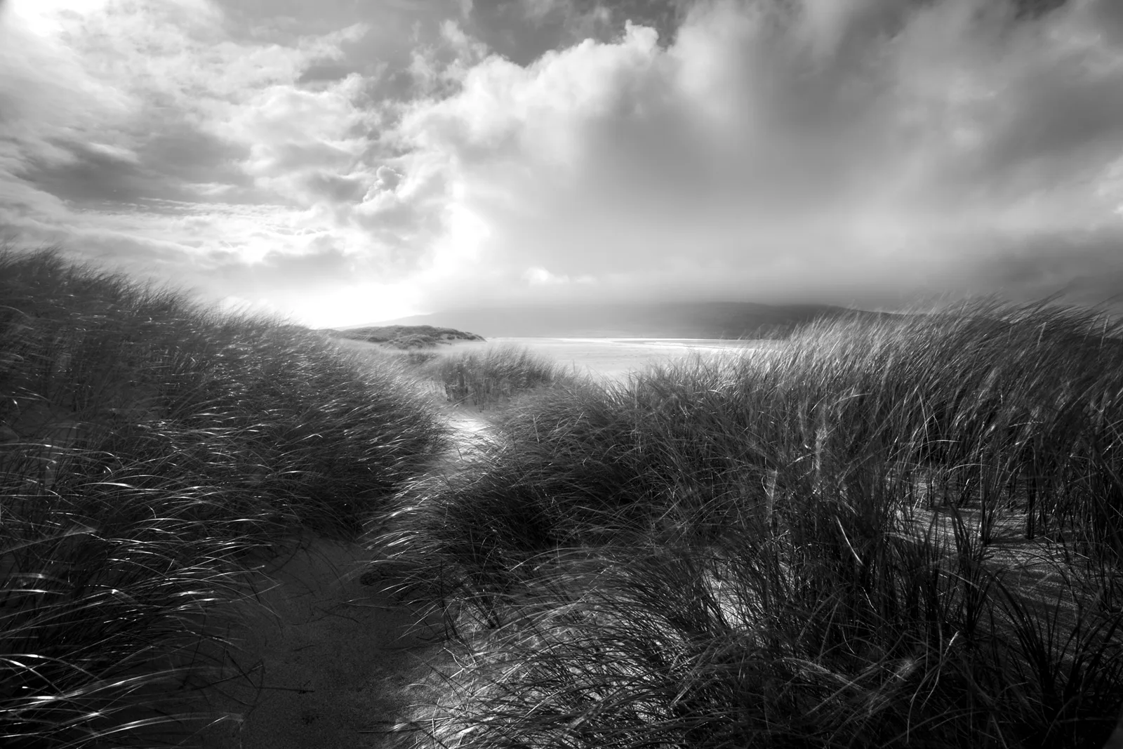 Coastal sand dunes covered in marram grass, with a sandy path leading to sea and sky under dramatic clouds.