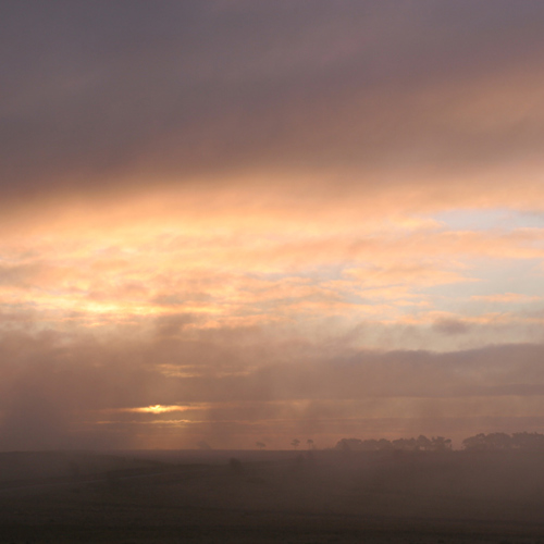 Sunrise: Sunrise