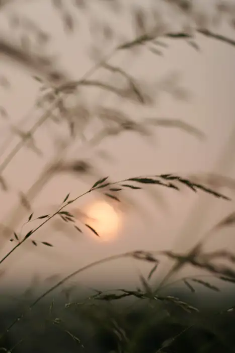 Stormy sunset 1