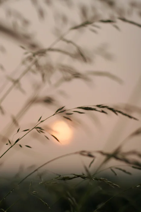 Stormy sunset 1