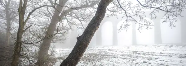 Bare trees with intertwining branches stand in a snow-covered landscape, enveloped in mist. In the background, a partially visible viaduct structure with tall arches emerges from the fog, contributing to an ethereal atmosphere.
