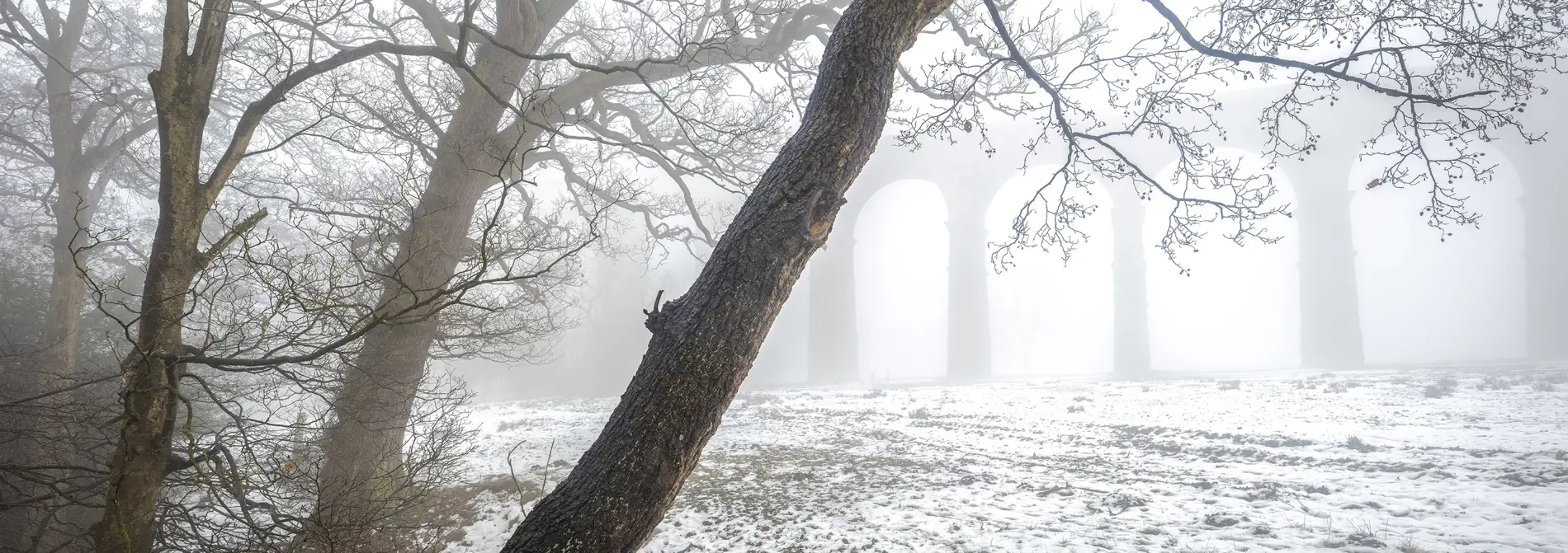 Stone railway viaduct arches fading into thick fog behind bare winter trees and a snow-dusted field