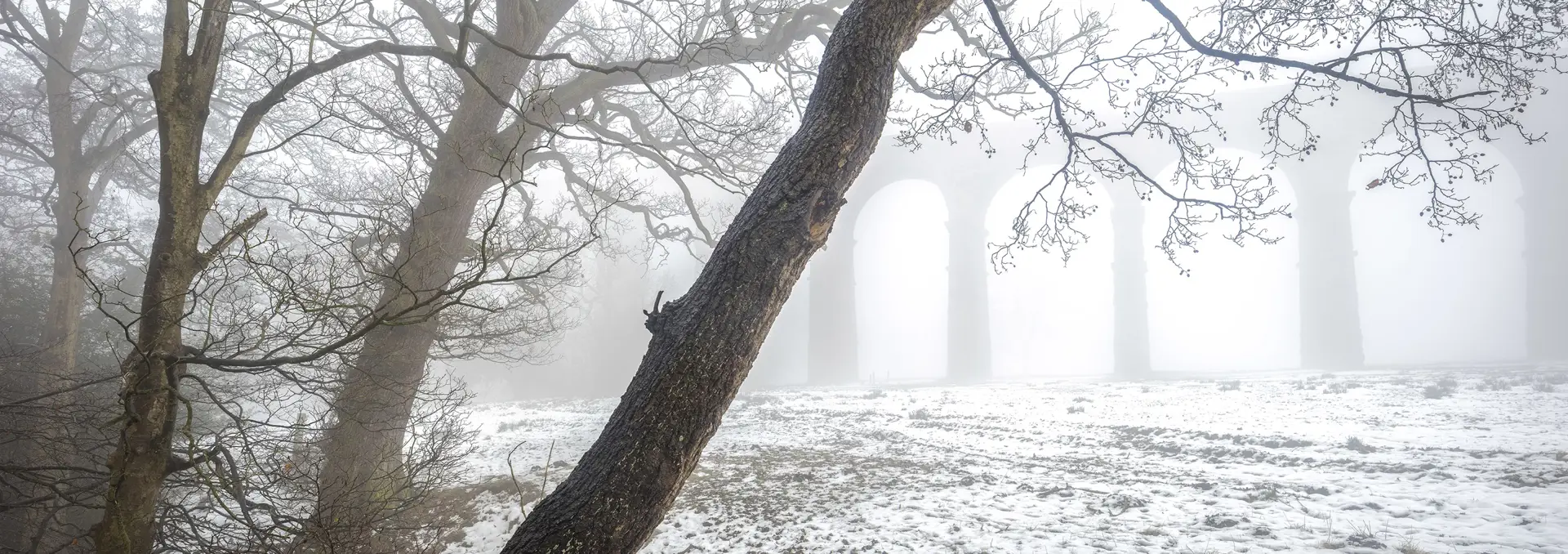 Bare trees with intertwining branches stand in a snow-covered landscape, enveloped in mist. In the background, a partially visible viaduct structure with tall arches emerges from the fog, contributing to an ethereal atmosphere.