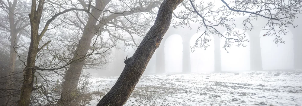 Stone railway viaduct arches fading into thick fog behind bare winter trees and a snow-dusted field