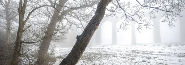 Stone railway viaduct arches fading into thick fog behind bare winter trees and a snow-dusted field